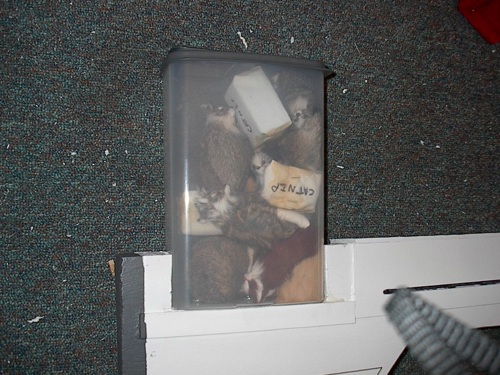 Container Closeup