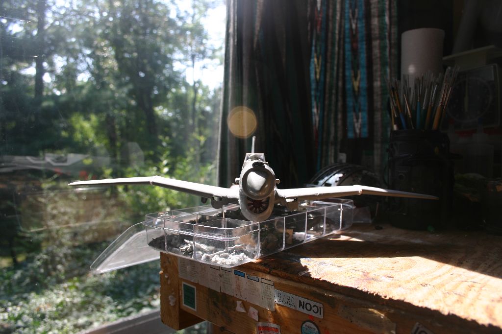 Cut Wings Front