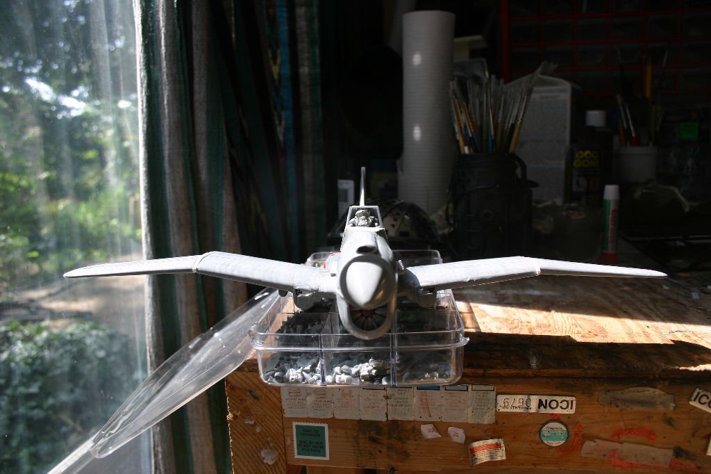 Pilot View