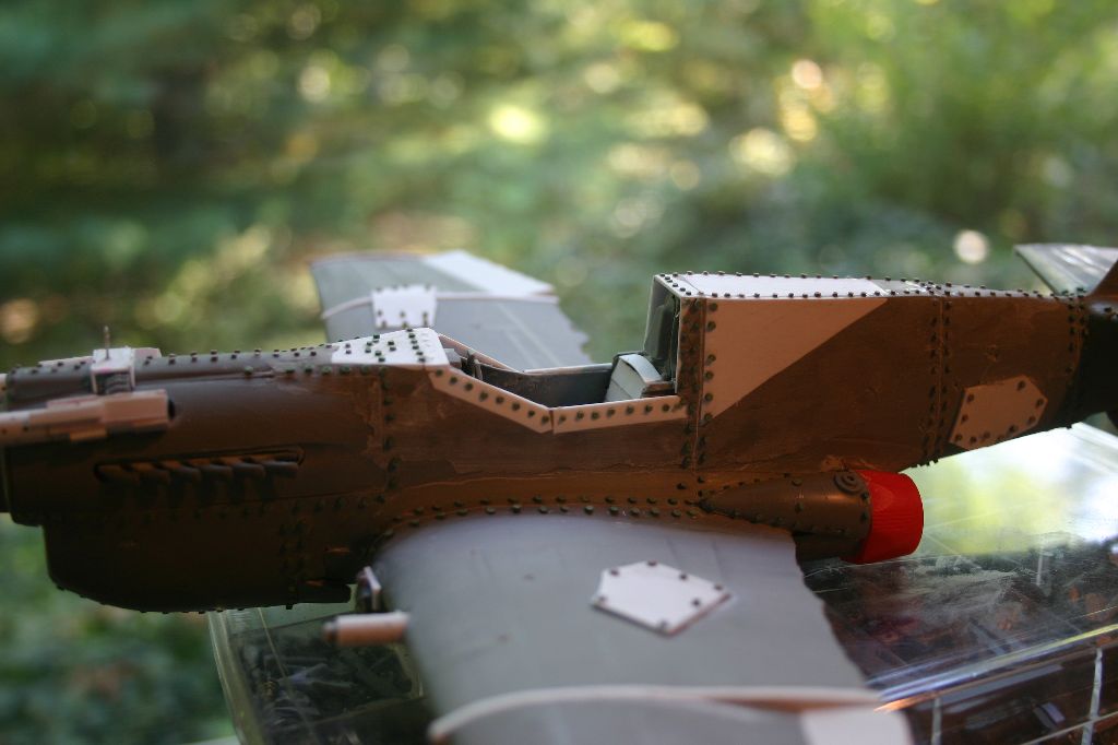 Cockpit Rivets