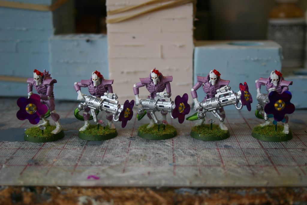Finished Immortals 1
