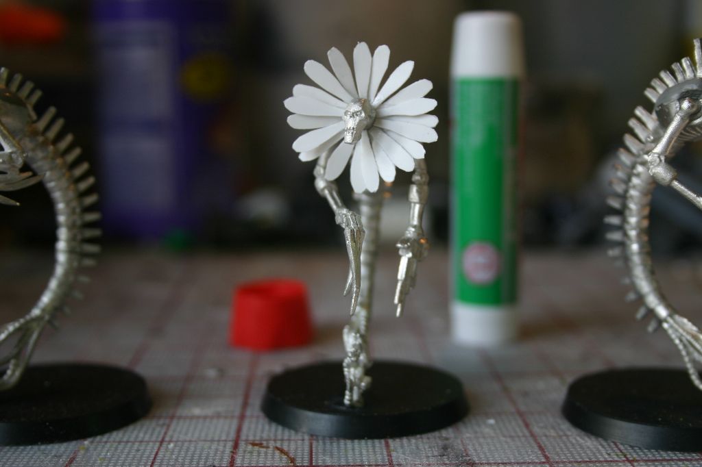 Daisy Wraith
