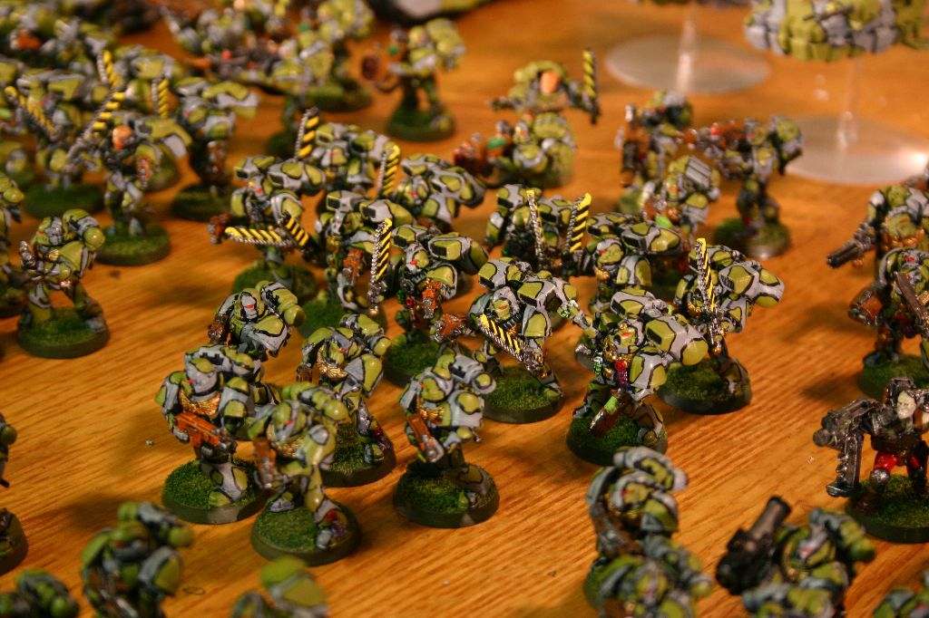 Assault Marines 1