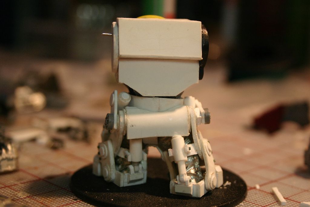 Torso Enclosed