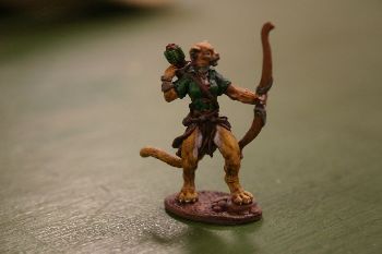 Cheetah 1