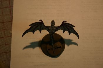 Dragonette 7