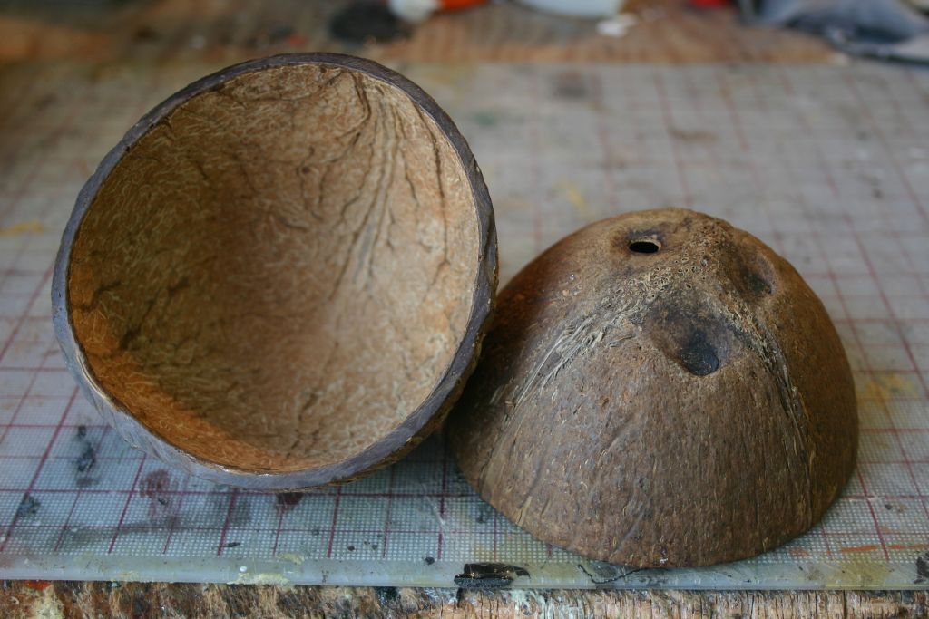 Coconut Halves