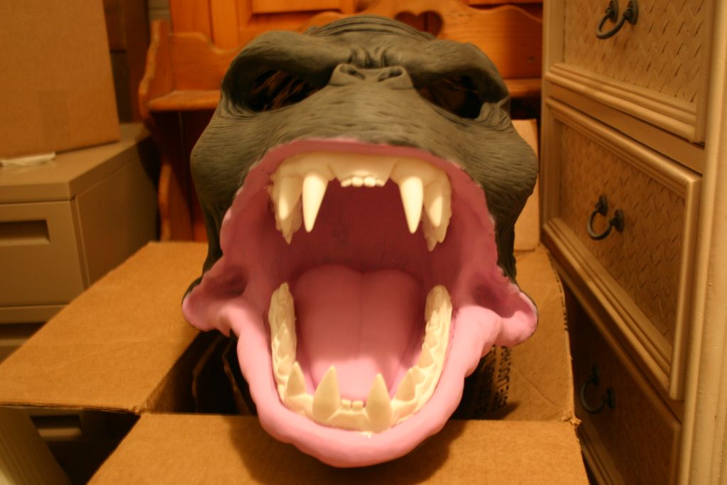 Attaching Teeth 1