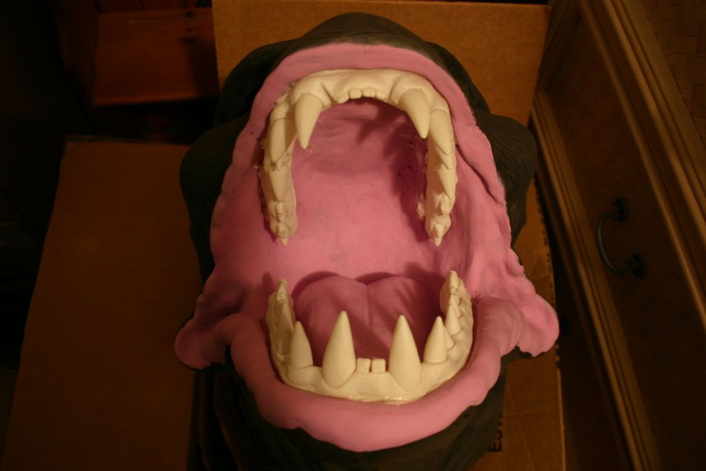 Attaching Teeth 3