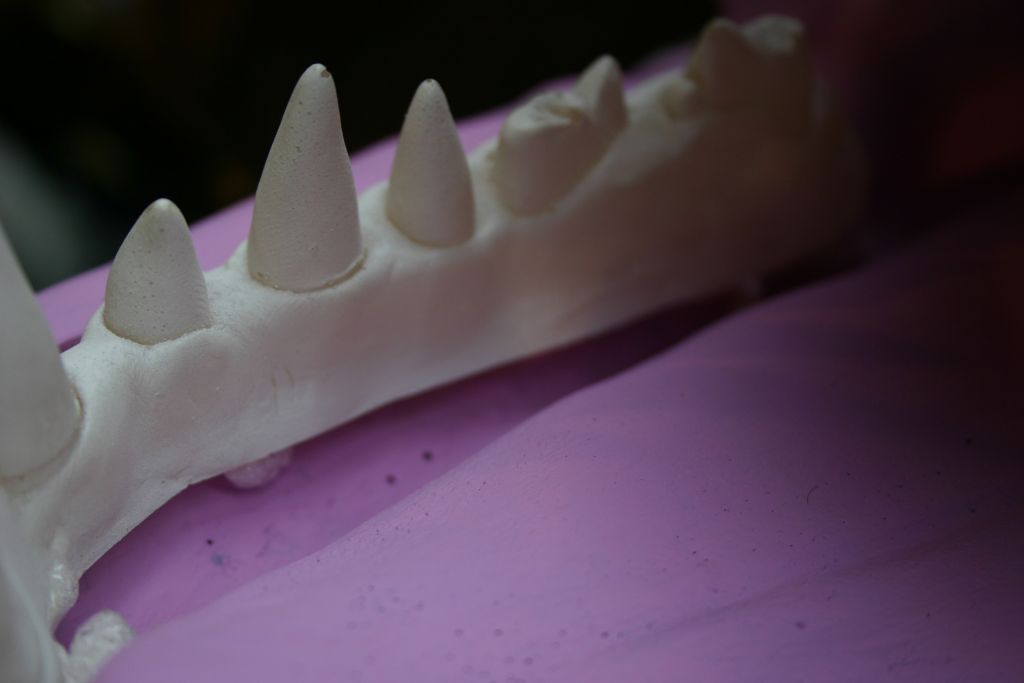 Attaching Teeth 4