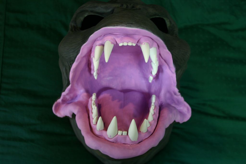 Painting Mouth 1