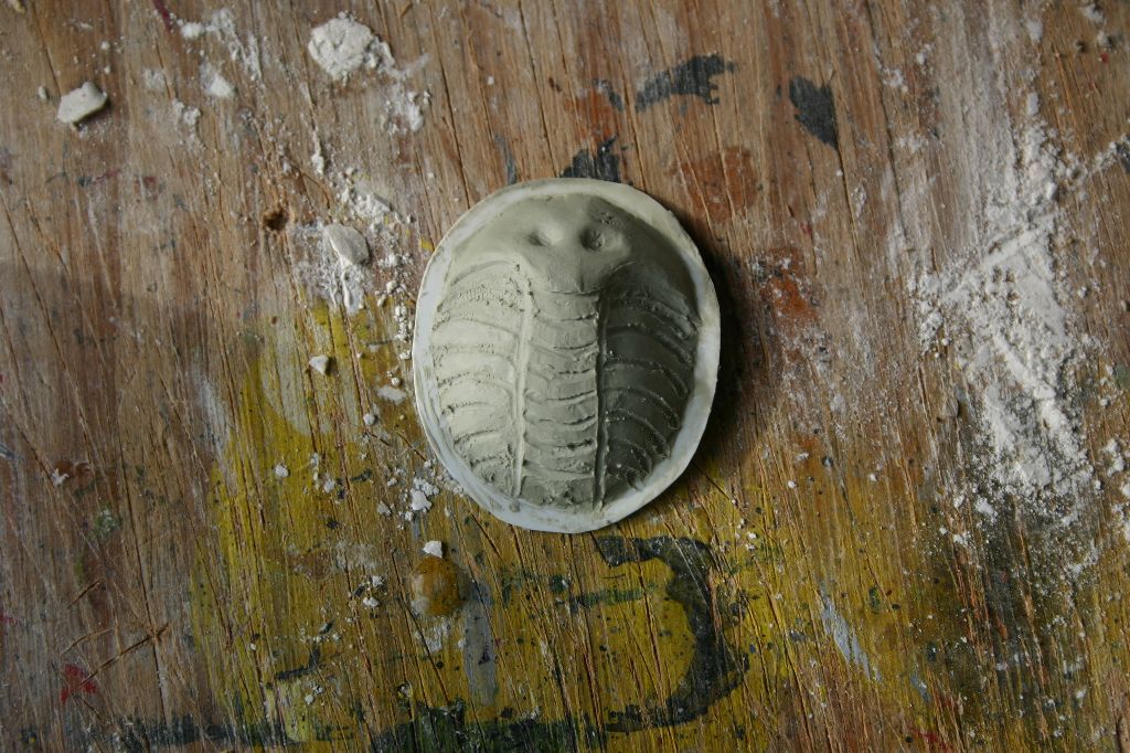 Sculpted Trilobite